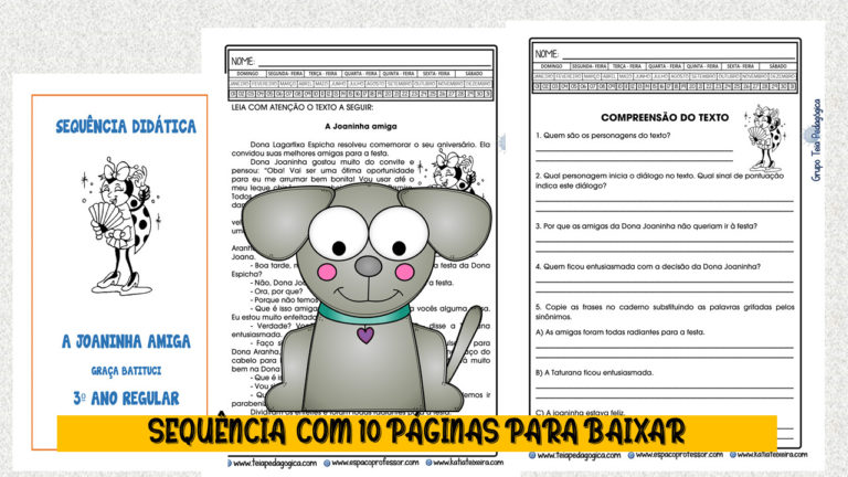 Atividades 3º ano. Sequência Didática A Joaninha Amiga