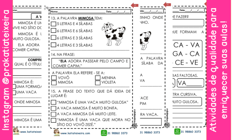 A vaca Mimosa texto com interpretação